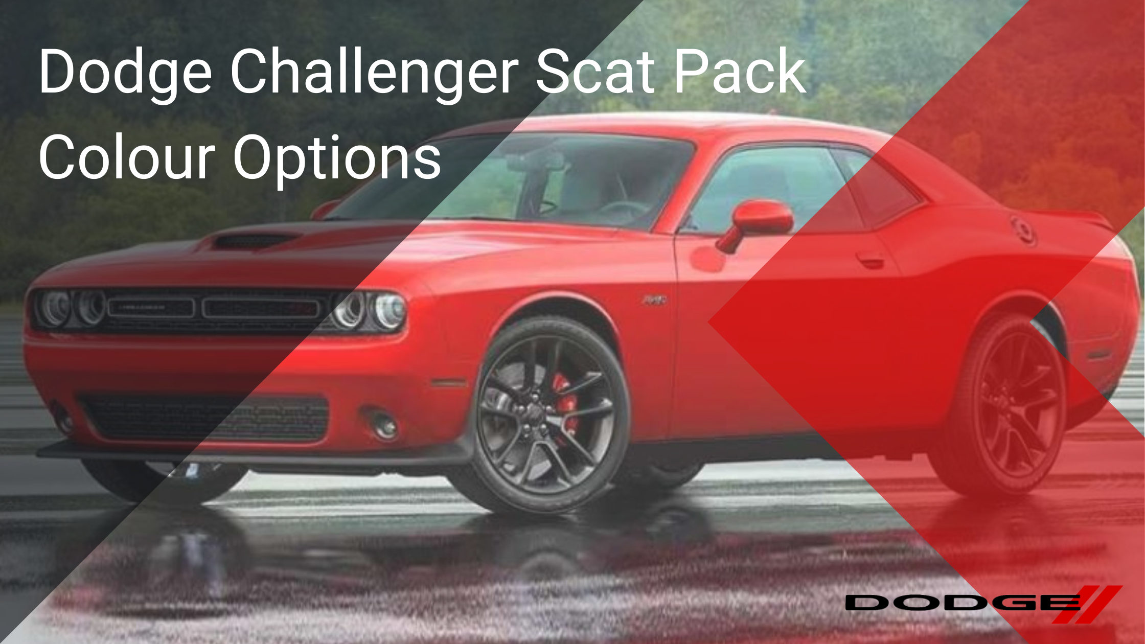 Dodge Challenger Scat Pack Colours